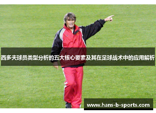 西多夫球员类型分析的五大核心要素及其在足球战术中的应用解析